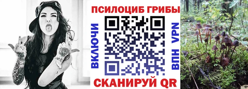 Псилоцибиновые грибы прущие грибы  Лермонтов 