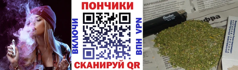 Шишки марихуана планчик  МЕГА tor  Лермонтов  купить наркотики цена 